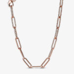 Circle of Chain Necklace